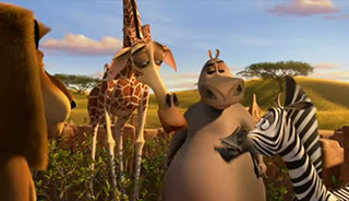 Movies and animations